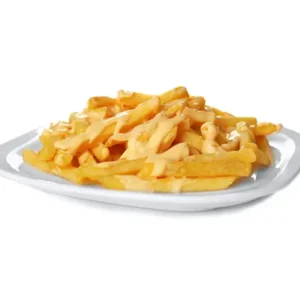 Mayo Garlic Fries