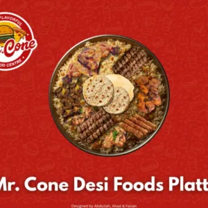 Desi Foods Platter at Mr. Cone